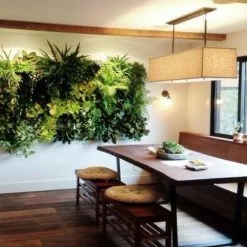 Indoor Garden Green Wall Pack - Indoors