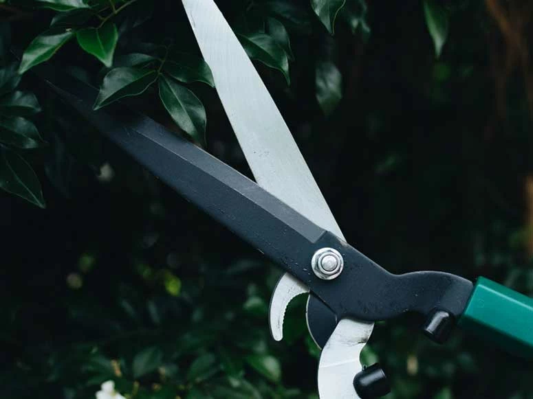 Hoselink 2-in-1 Hedge Shears Outdoor Accessories 6 Hoselink 2-in-1 Hedge Shears Outdoor Accessories