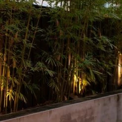 Hoselink Warm White Solar Garden Spotlights With 3 Adjustable Heads 1LED