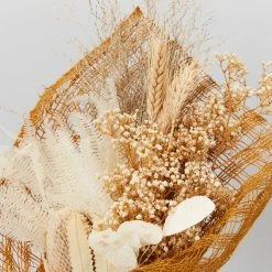 Gather Australia Housewarming Ombre Posy In A Box