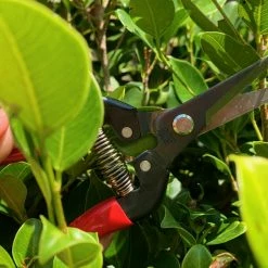 Gifts Long Nose Snips