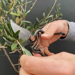 Outdoor Accessories Barebones - Metal Pruner With Sheath