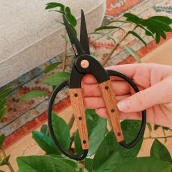 Secateurs Barebones - Small Scissors