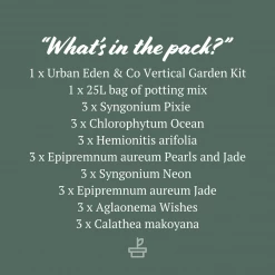 Indoor Garden Gift Kits Greenwall Kit - Includes Plants