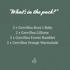 Shrubs Assorted Grevillea Plant Pack