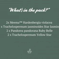 Shrubs Assorted Pack Of Outdoor Climbing Plants