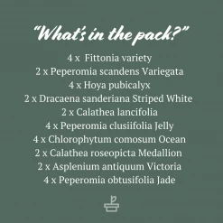 Indoor Garden The Teachers Classroom Houseplant Pack