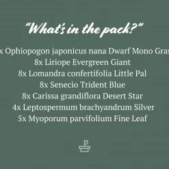 Shrubs A Full Sun - Totally Minimal Effort Garden Pack