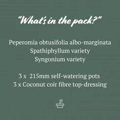 Indoor Garden Mr Kitly 3 Plants & 3 Pots - 215mm