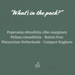 Indoor Garden Cat-Friendly Indoor Plant Pack - 85mm