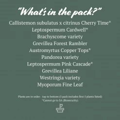 Shrubs Birds And Bees 🐝 Australian Native Plant Pack