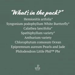 Indoor Garden Green Wall Pack - Indoors