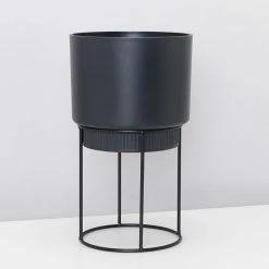 Elho Eco Stand + Plant + Pot (includes Coir)