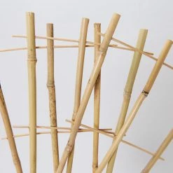 Fernland Bamboo Plant Trainer Plant Stakes & Stands