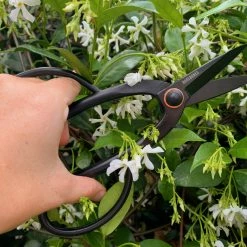 Barebones - Artisan Pruning Shears