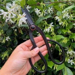 Barebones - Artisan Pruning Shears