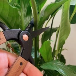Secateurs Barebones - Small Scissors