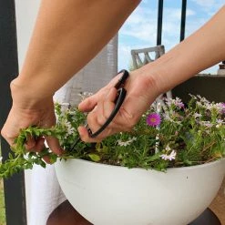 Secateurs Barebones - Small Scissors