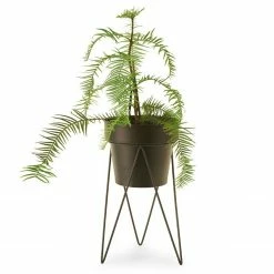 Bendo Plant Stakes & Stands 'PLANT' Indoor Plant Stand & Medium Pot Bundle