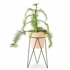 Bendo Plant Stakes & Stands 'PLANT' Indoor Plant Stand & Medium Pot Bundle