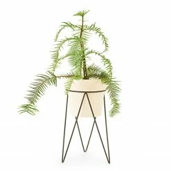 Bendo Plant Stakes & Stands 'PLANT' Indoor Plant Stand & Medium Pot Bundle