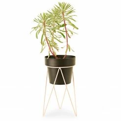 Bendo Plant Stakes & Stands 'PLANT' Indoor Plant Stand & Medium Pot Bundle