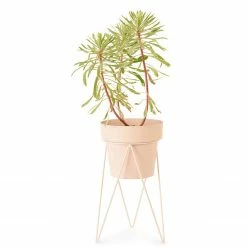 Bendo Plant Stakes & Stands 'PLANT' Indoor Plant Stand & Medium Pot Bundle