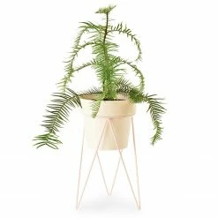 Bendo Plant Stakes & Stands 'PLANT' Indoor Plant Stand & Medium Pot Bundle