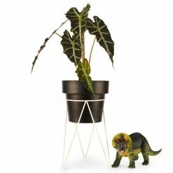 Bendo Plant Stakes & Stands 'PLANT' Indoor Plant Stand & Medium Pot Bundle