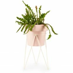 Bendo Plant Stakes & Stands 'PLANT' Indoor Plant Stand & Medium Pot Bundle