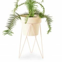 Bendo 'PLANT' Indoor Plant Stand Pots & Hanging Baskets