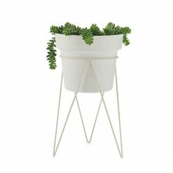 Bendo Plant Stakes & Stands 'PLANT' Indoor Plant Stand & Medium Pot Bundle