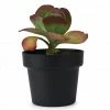 Bendo 'POT' Medium Indoor Plant Pot Pots & Hanging Baskets