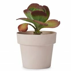 Bendo 'POT' Medium Indoor Plant Pot Pots & Hanging Baskets