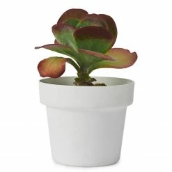 Bendo 'POT' Medium Indoor Plant Pot Pots & Hanging Baskets