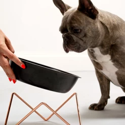 Bendo Best Selling Gifts The WOOF Dog Bowl - MIX 'N MATCH