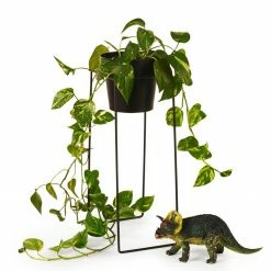 Bendo Plant Stakes & Stands 'TALL' Indoor Plant Stand & Medium Pot Bundle