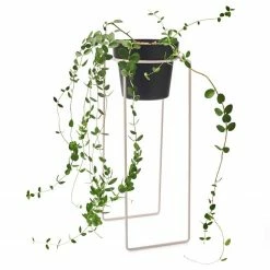 Bendo Plant Stakes & Stands 'TALL' Indoor Plant Stand & Medium Pot Bundle