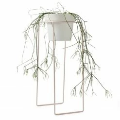 Bendo Plant Stakes & Stands 'TALL' Indoor Plant Stand & Medium Pot Bundle