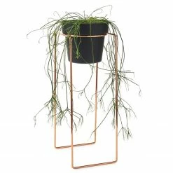 Bendo Plant Stakes & Stands 'TALL' Indoor Plant Stand & Medium Pot Bundle