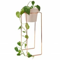 Bendo Plant Stakes & Stands 'TALL' Indoor Plant Stand & Medium Pot Bundle