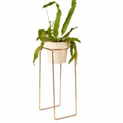 Bendo Plant Stakes & Stands 'TALL' Indoor Plant Stand & Medium Pot Bundle