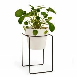 Bendo 'SHRUB' Plant Stand Mini & Small Pot Bundle Pots & Hanging Baskets