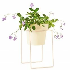 Bendo 'SHRUB' Plant Stand Mini & Small Pot Bundle Pots & Hanging Baskets