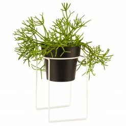 Bendo 'SHRUB' Plant Stand Mini & Small Pot Bundle Pots & Hanging Baskets
