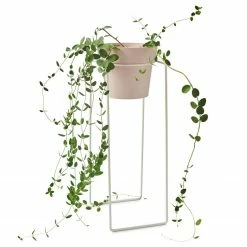 Bendo Plant Stakes & Stands 'TALL' Indoor Plant Stand & Medium Pot Bundle