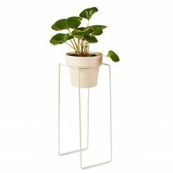 Bendo Plant Stakes & Stands 'TALL' Indoor Plant Stand & Medium Pot Bundle