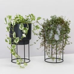 Elho Plant Stakes & Stands Eco Friendly ♻️ - Pot & Stand