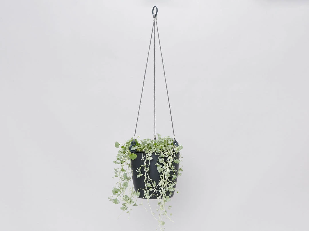 Gifts Pots & Hanging Baskets Eco-Friendly Self-Watering Hanging Basket 9 Gifts Pots & Hanging Baskets Eco-Friendly Self-Watering Hanging Basket