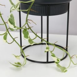 Elho Plant Stakes & Stands Eco Friendly ♻️ - Pot & Stand